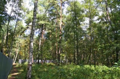 photo 65df3bb291ae2_thumb.jpg