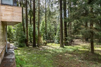 photo 66bc8a8b9c671_thumb.jpg