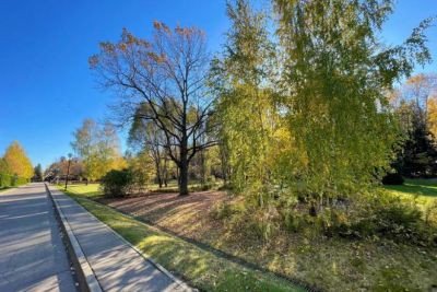 photo 678e4cd127d21_thumb.jpg