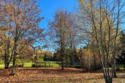 photo 678e4cd197c06_thumb.jpg