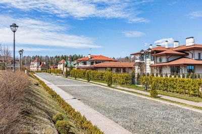 photo 67b3744243b0b_thumb.jpg