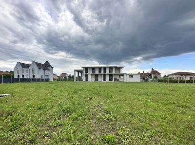 photo 67b37442c7991_thumb.jpg