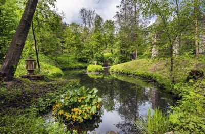 photo 662a44e10dad5_thumb.jpg