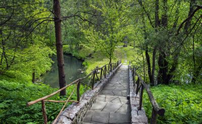 photo 662a450fcf384_thumb.jpg