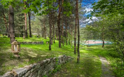 photo 662a45107a30e_thumb.jpg