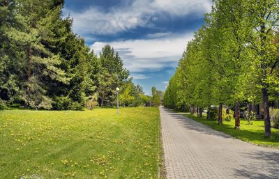 photo 662a45112bfbe_thumb.jpg