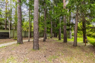 photo 6899dc1d1e224_thumb.jpg