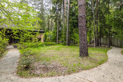 photo 6899dc7511489_thumb.jpg