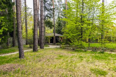 photo 6899dc8d8db77_thumb.jpg