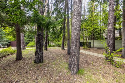 photo 6899dc9da7027_thumb.jpg