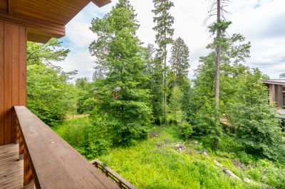 photo 6675740469aa1_thumb.jpg