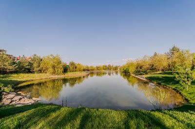 photo 683445105aeda_thumb.jpg