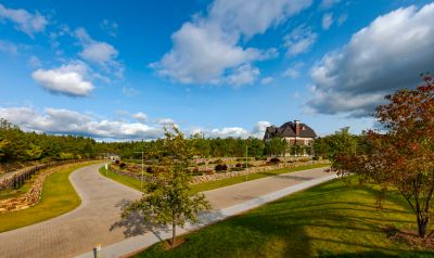 photo 6653009ef357e_thumb.jpg