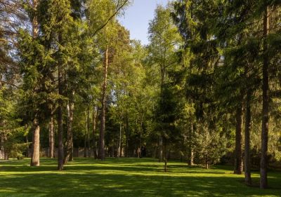 photo 6662c59735207_thumb.jpg