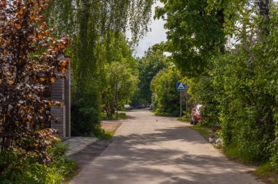 photo 667a9d14761cb_thumb.jpg