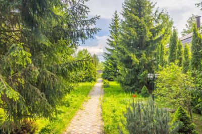 photo 667a9d180e493_thumb.jpg