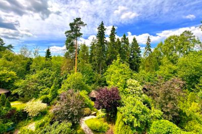 photo 6676a9b4416f6_thumb.jpg