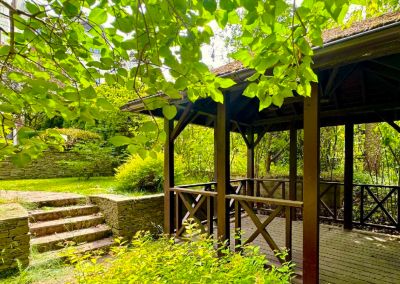 photo 6676a9b65fdb5_thumb.jpg