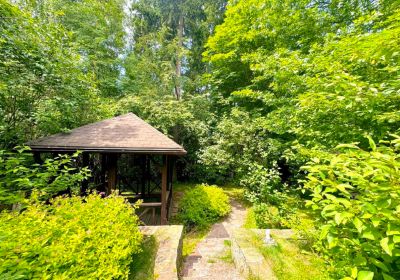 photo 6676a9b71cab8_thumb.jpg