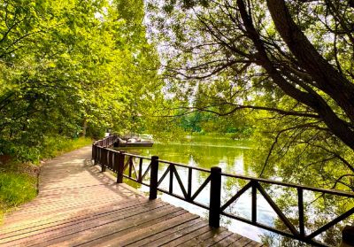 photo 6676a9b878dfd_thumb.jpg