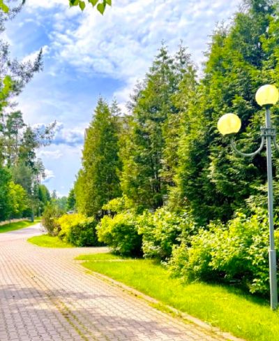 photo 6676a9b9c9754_thumb.jpg