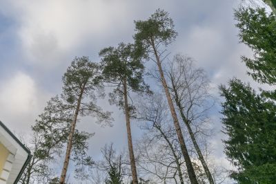 photo 6769781b3357a_thumb.jpg