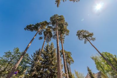 photo 68340c778df28_thumb.jpg