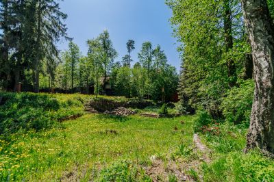 photo 68340c8300888_thumb.jpg