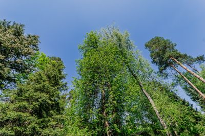 photo 68340c863ca35_thumb.jpg