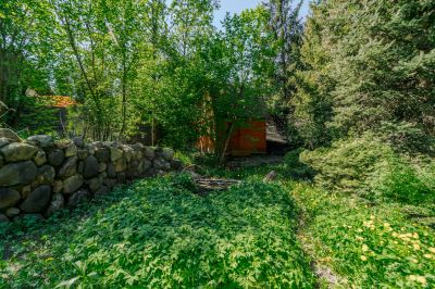 photo 68340c95681b9_thumb.jpg