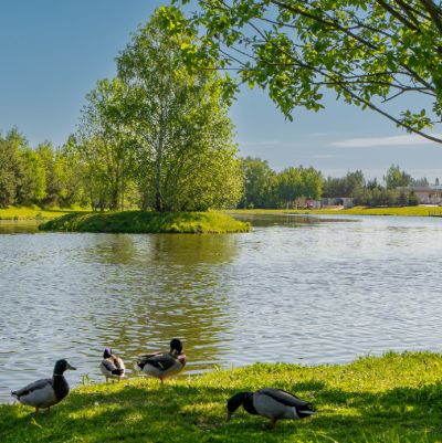 photo 667bd30ecec61_thumb.jpg