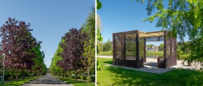 photo 667bd30f4c2f8_thumb.jpg