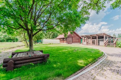 photo 6684008220a4b_thumb.jpg