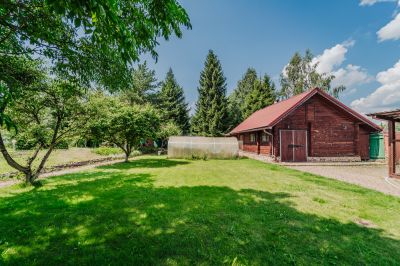 photo 668400856ef06_thumb.jpg