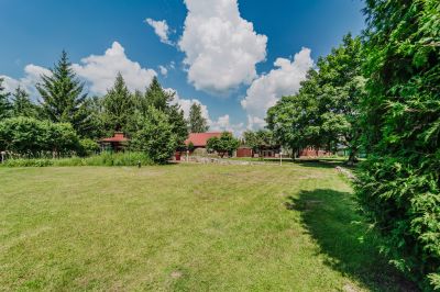 photo 668400ce31925_thumb.jpg