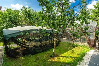 photo 66a3c30034f0a_thumb.jpg