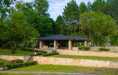 photo 6697c7bfdf97f_thumb.jpg