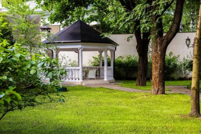 photo 669a6eb5ea378_thumb.jpg