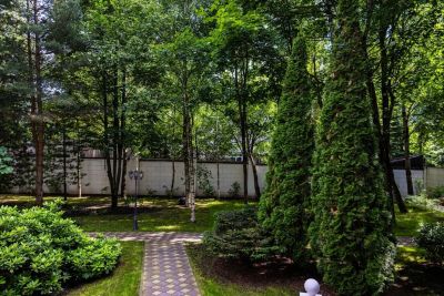 photo 669a6eb681997_thumb.jpg