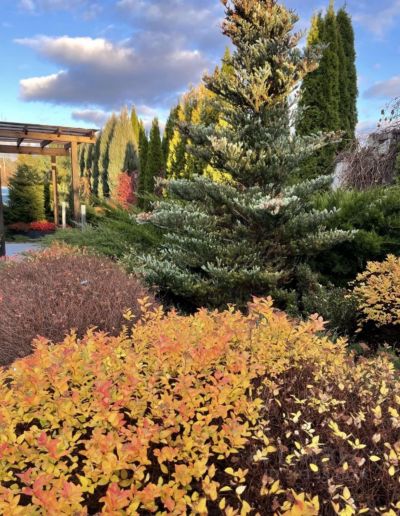 photo 669fb00a2c05b_thumb.jpg