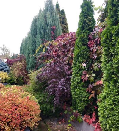 photo 669fb00b0a22b_thumb.jpg