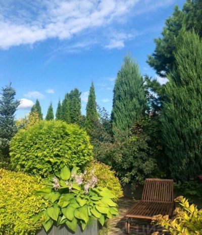 photo 669fb01670490_thumb.jpg