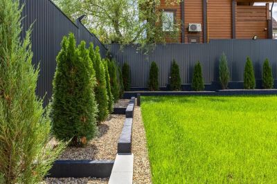 photo 66a384b016437_thumb.jpg