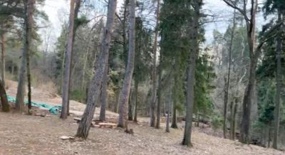 photo 67ee8b8d50743_thumb.jpg