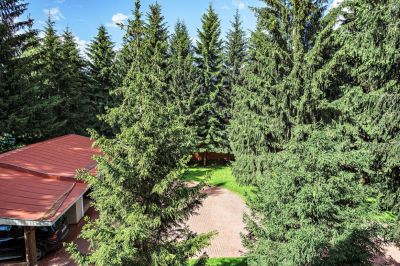 photo 66bf1909b48c6_thumb.jpg