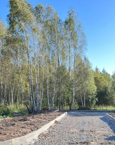 photo 68de62193efdc_thumb.jpg