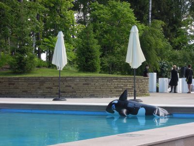 photo 66c5f3a9a1ce9_thumb.jpg