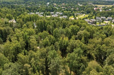 photo 670cd03d4b9e7_thumb.jpg