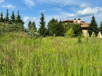 photo 6704fff67e717_thumb.jpg