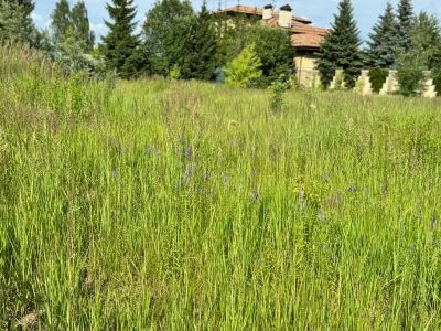 photo 6704fff78edc4_thumb.jpg